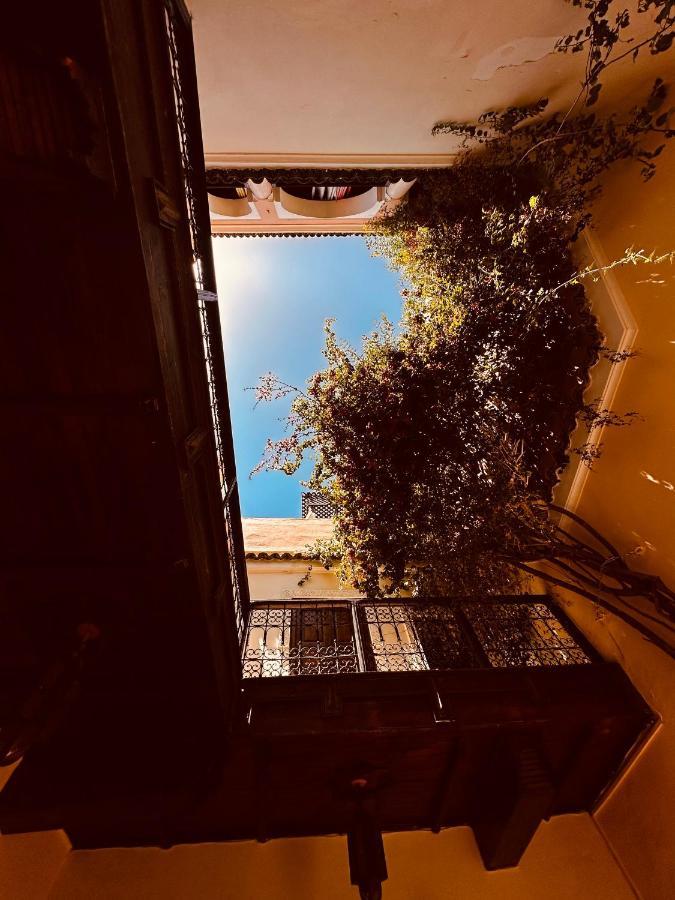 Riad Msholidays Bassin Privatise Marrakech Marrakesh Exterior photo