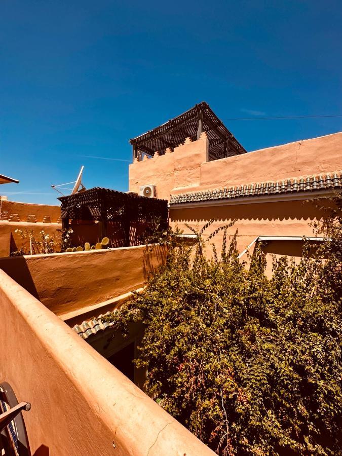 Riad Msholidays Bassin Privatise Marrakech Marrakesh Exterior photo